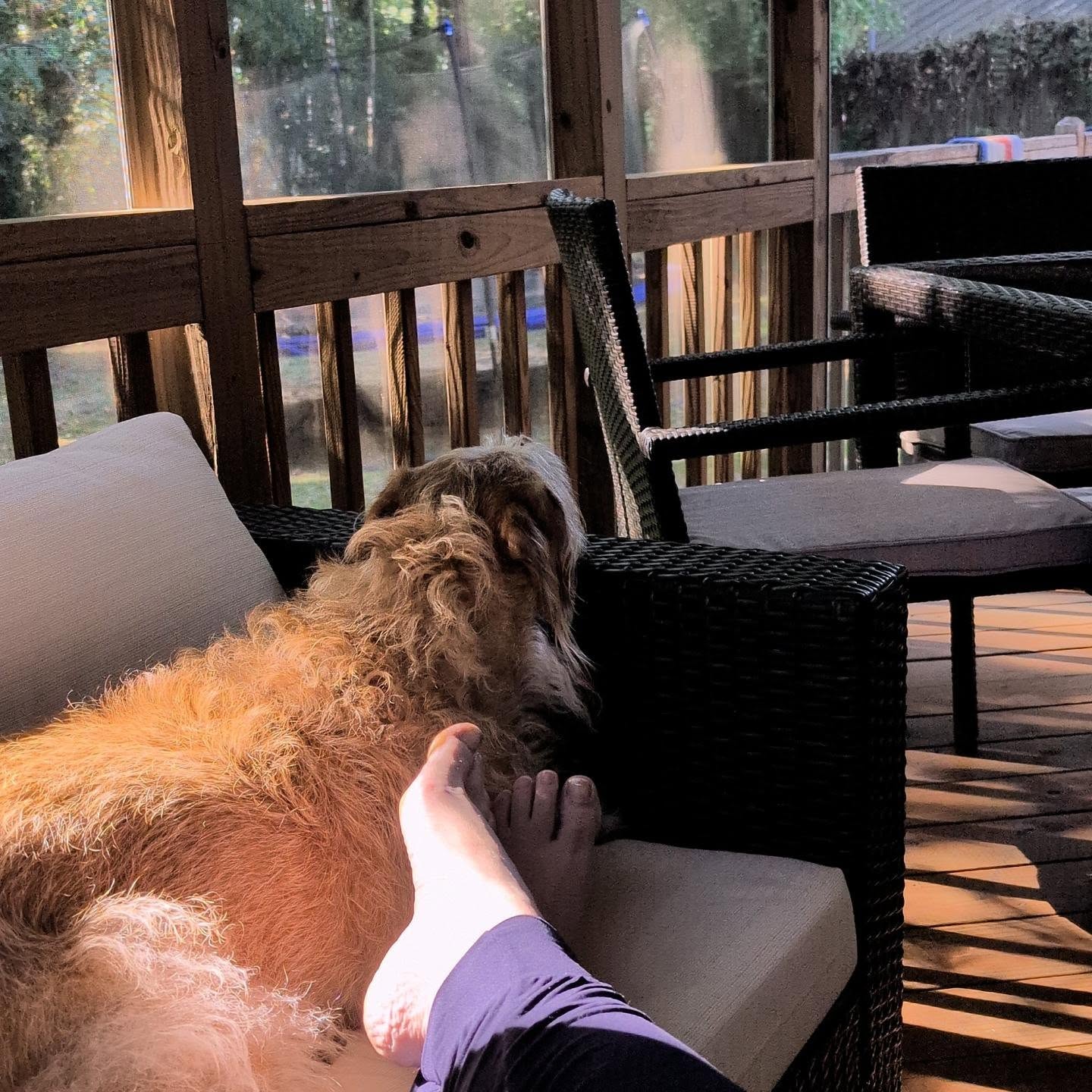 Didn't get to enjoy summer on the porch because of the heat 🥵🥵

So taking advantage of the cooler fall days to come!